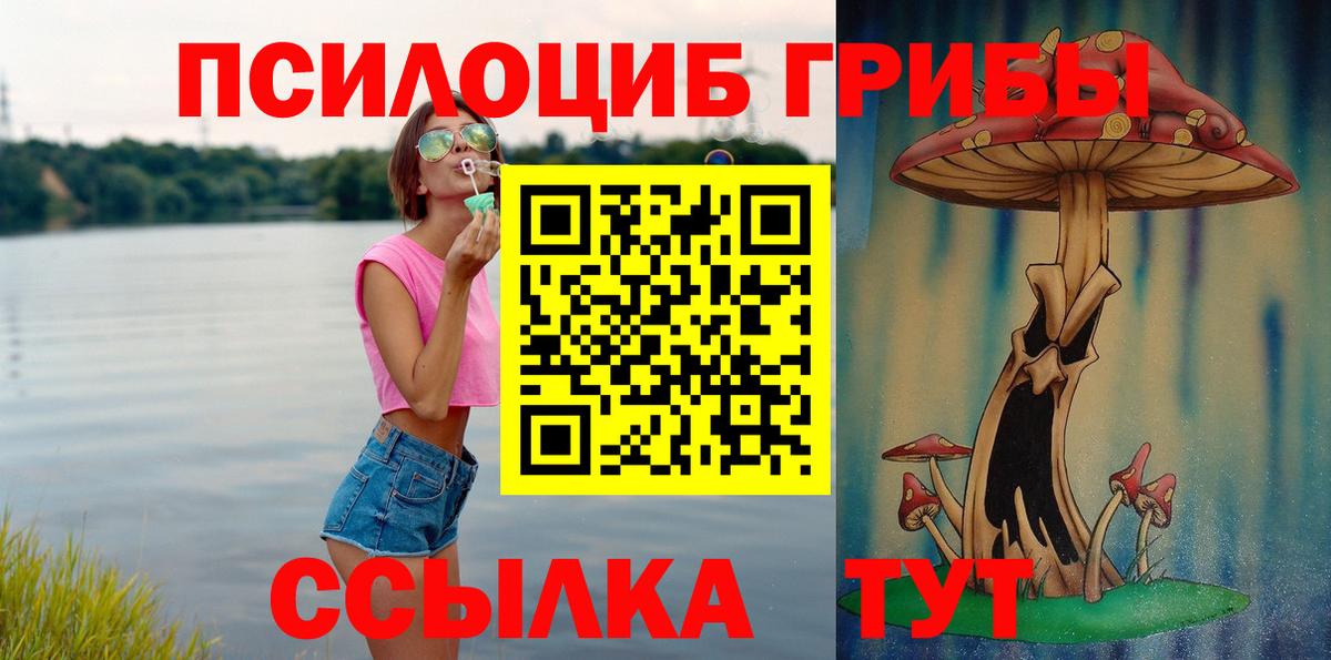 где продают   Галлюциногенные грибы Psilocybine cubensis  Вход с VPN  Псилоцибиновые грибы мицелий  Новокубанск 
